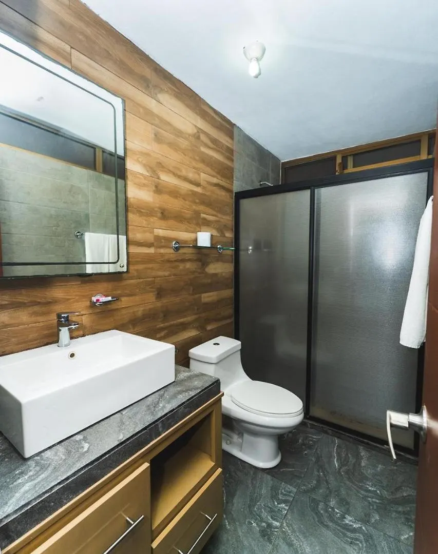 *** Апарт-отель Апарт отель Loft Sabalo - Pet Friendly Масатлан Мексика